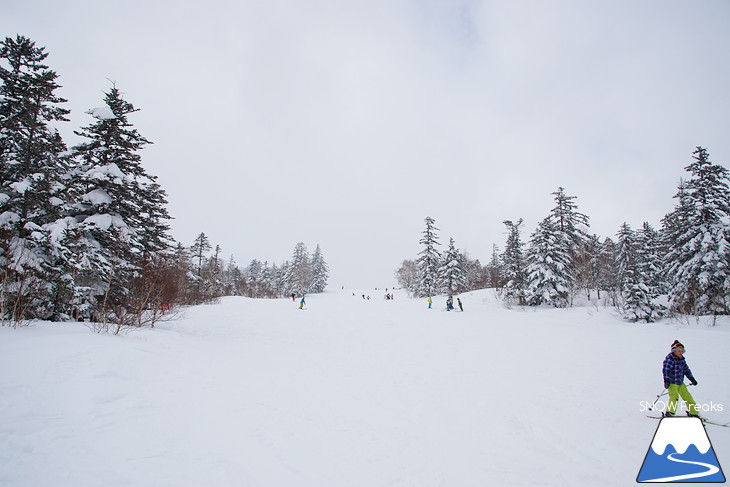 札幌国際スキー場 Welcome back POWDER SNOW !! ～パウダースノー復活～